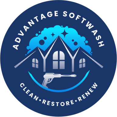 Logo bg